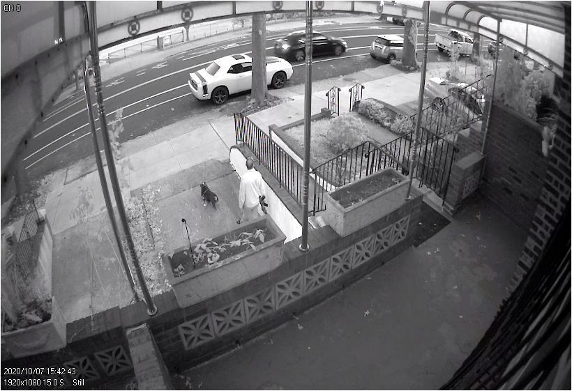 Police vehicle passes