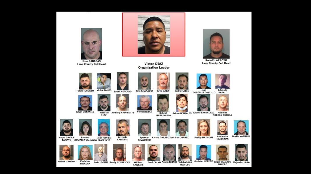 Organizational chart of DTO members 