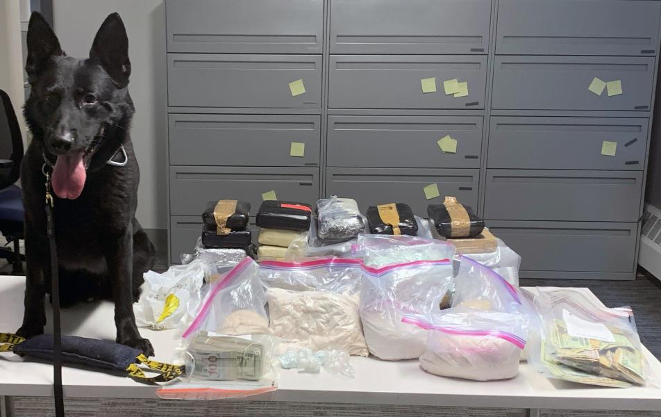 NYSP K-9 Liam at work helping law enforcement save lives