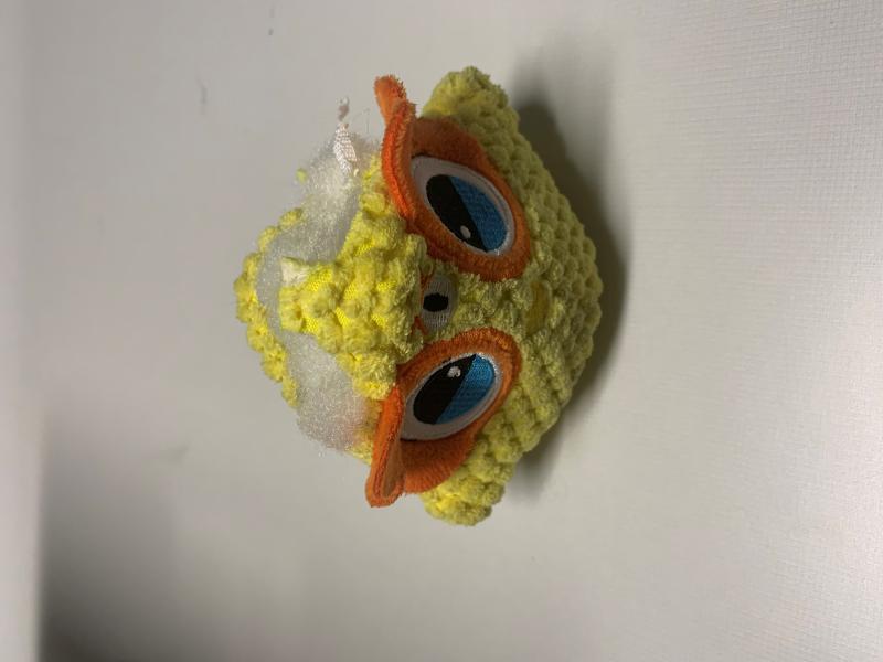 1,000 counterfeit oxycodone pills (fentanyl pills) concealed in a dog chew toy