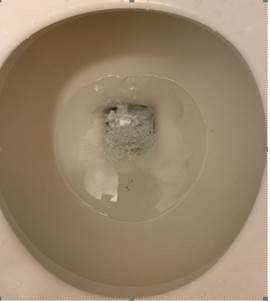 Fentanyl attempted to be flushed in toilet