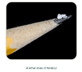 Lethal dose of fentanyl