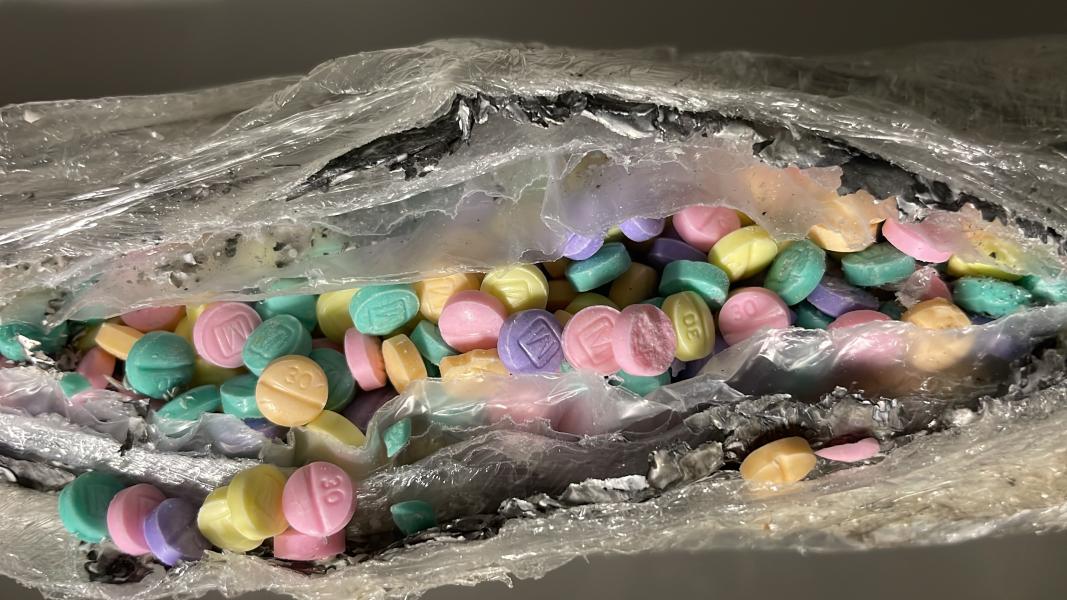 Close up of 50,000 fentanyl pills seized by Group T-12 on12/7/2022