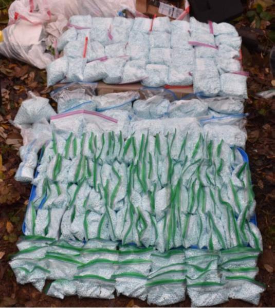 Seized fentanyl pills.