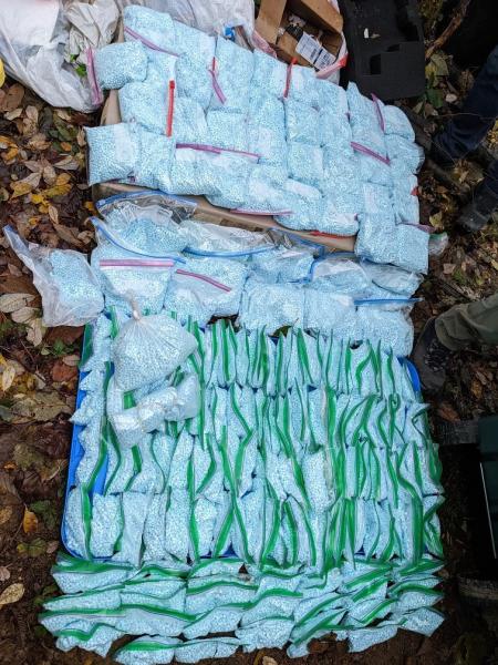 Seized fentanyl pills.