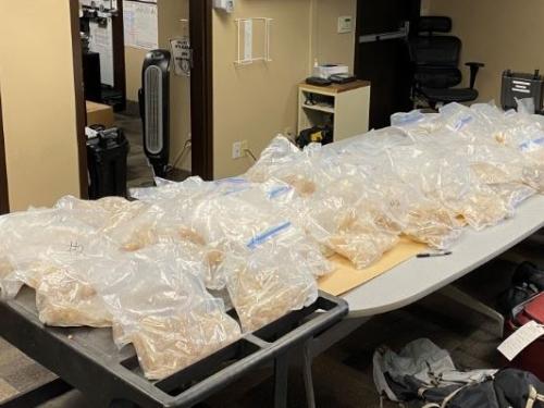 Seized MDMA, nearly 200 pounds.