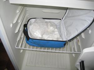 Cocaine concealed inside a child's insulated lunch bag hidden in a refrigerator.