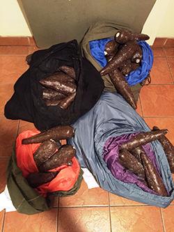 Four Bags of hollowed out plastic yucca containing cocaine.
