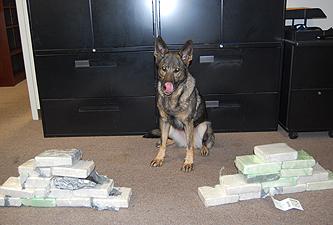 K9 Officer Christine Kelliher and Kirby and Tpr Ryan Trego and drug canine “Vinny” assisted in the drug seizure. 