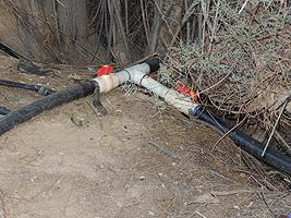 Irrigation drip system.