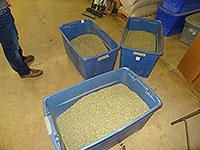 Photos of spice manufacturing at various stages.  Cement mixers, bulk damiana leaf in bags and bins.