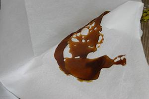 Truck containing the bulk of the 41,000 plants.