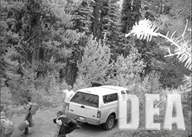 A forest road at the trail entrance in the Boise National Forest near Little Beaver Creek.  Juan Pablo Villasenor-Villa provides supplies for marijuana workers and gives them directions.