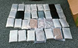 Agents recovered 31 kilograms of cocaine from a box in the back seat of the truck driven by William Cornish.