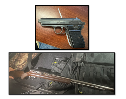 Firearms RUTHERFORD sold on February 17, 2026