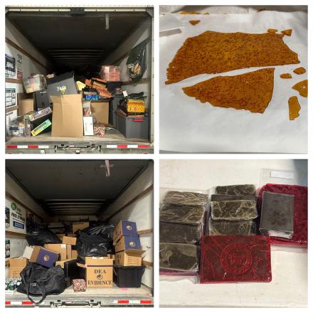 Seized Marijuana & THC Products