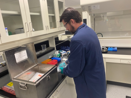 Londonberry - New England - Lab
